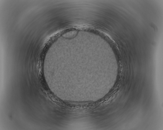 X0000111911016200909071152