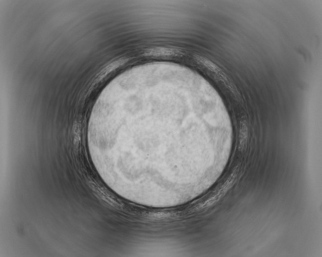 X0000111911017200909071152