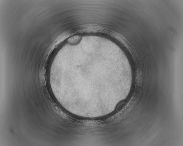 X0000111911018200909071152