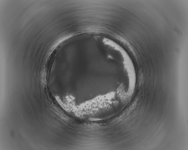 X0000111911019200909071152