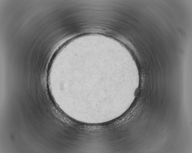 X0000111911020200909071152