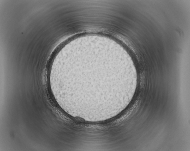 X0000111911021200909071152