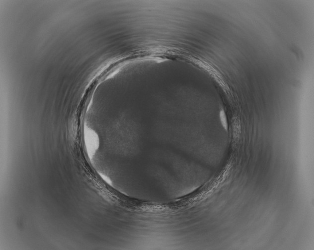 X0000111911023200909071152