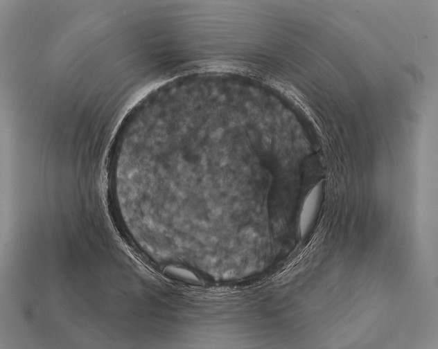 X0000111911024200909071152