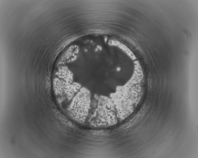 X0000111911025200909071152