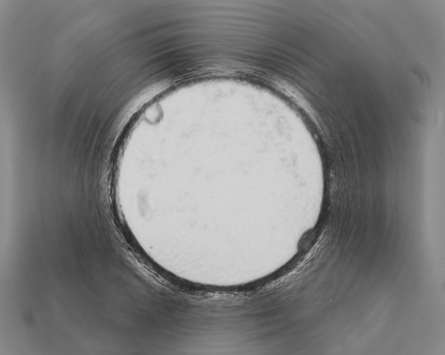X0000111911026200909071152