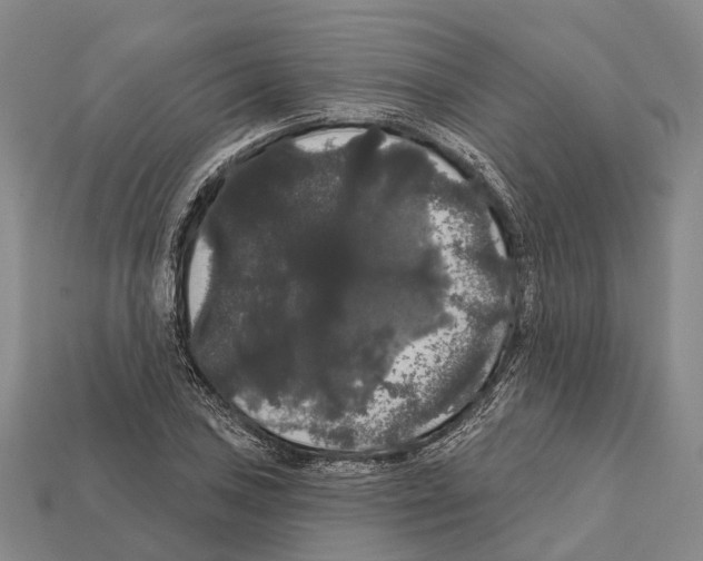 X0000111911027200909071152