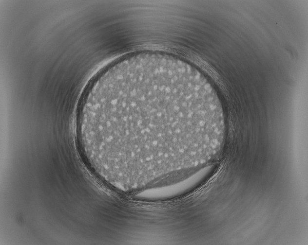 X0000111911028200909071152