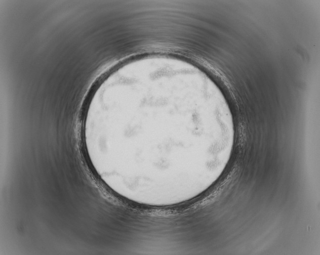 X0000111911029200909071152