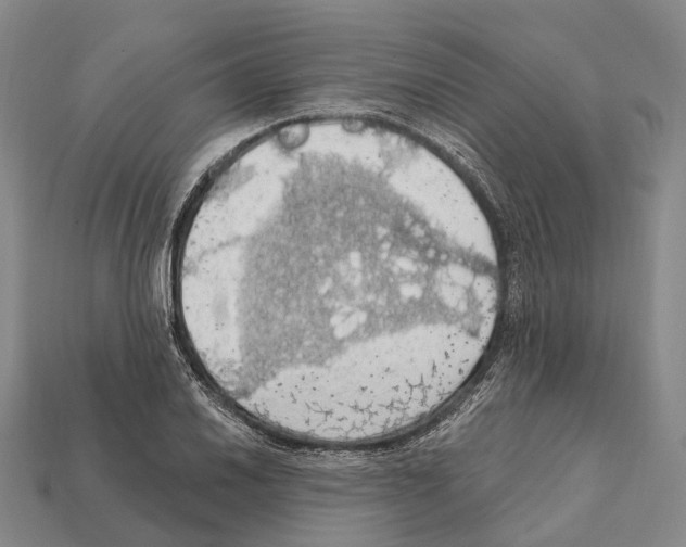 X0000111911030200909071152