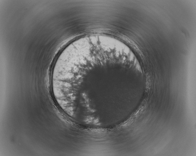 X0000111911031200909071152