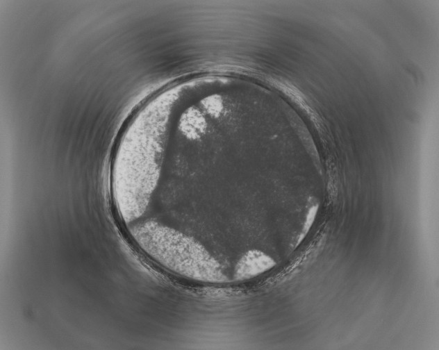 X0000111911032200909071152