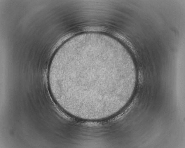 X0000111911033200909071152