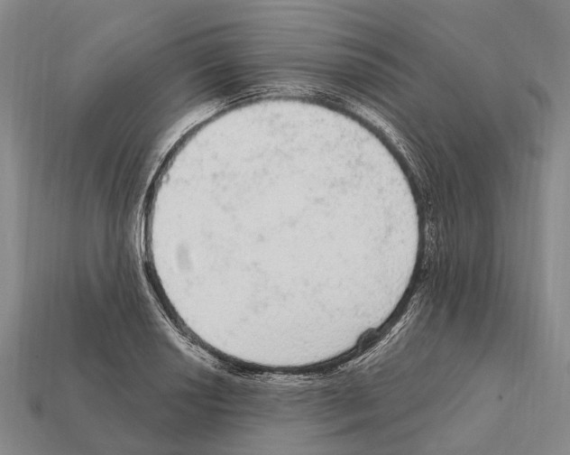 X0000111911034200909071152