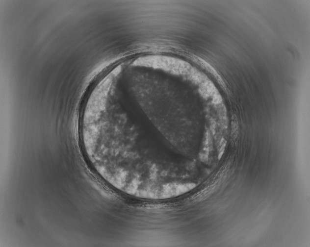 X0000111911035200909071152