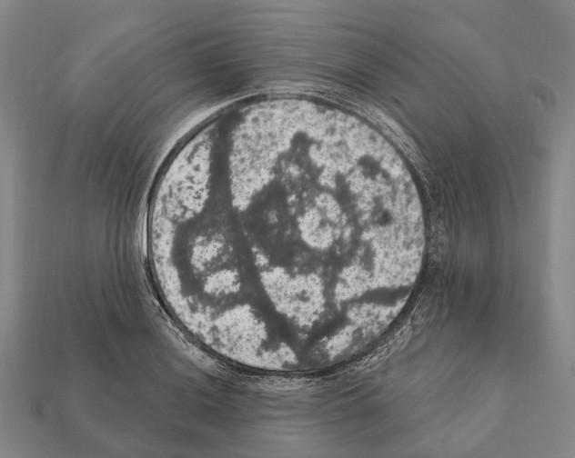 X0000111911036200909071152