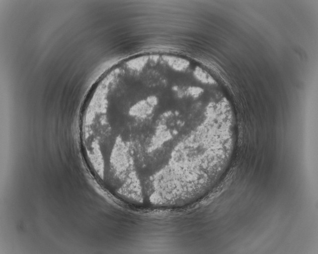 X0000111911038200909071152