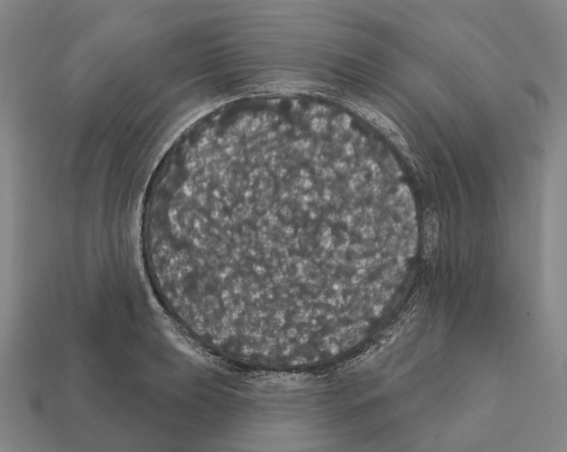 X0000111911039200909071152