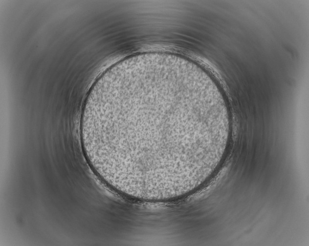 X0000111911041200909071152
