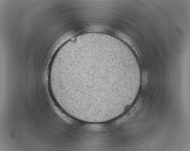 X0000111911042200909071152