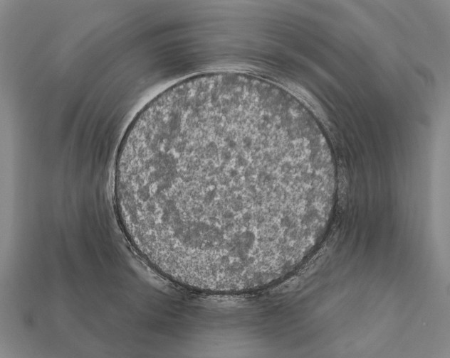 X0000111911044200909071152