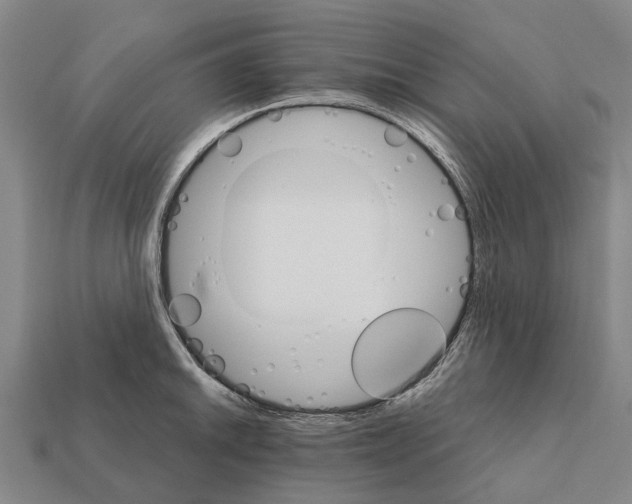 X0000111911046200909071152