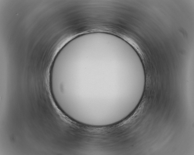 X0000111911047200909071152