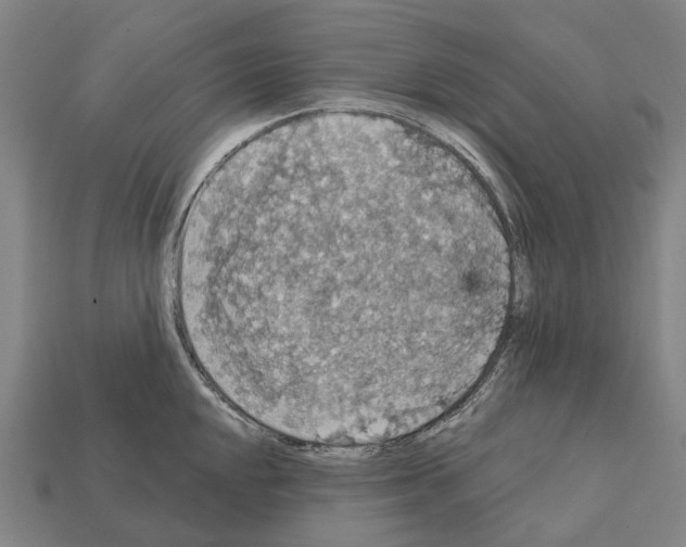 X0000111911048200909071152