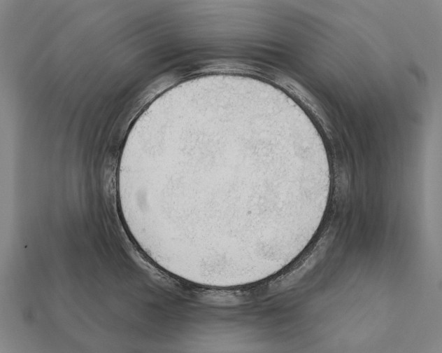 X0000111911049200909071152