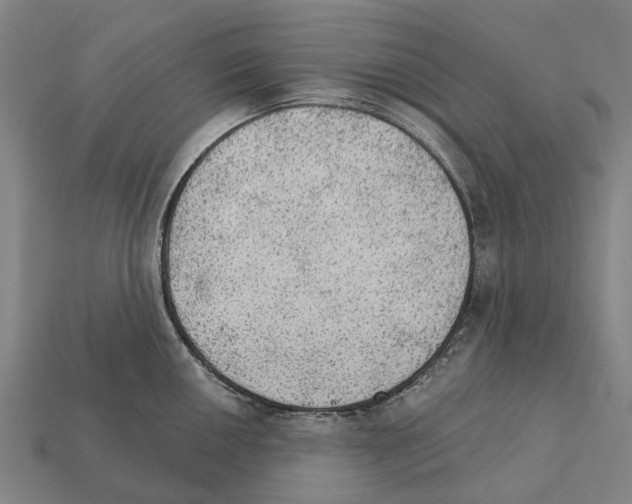 X0000111911050200909071152