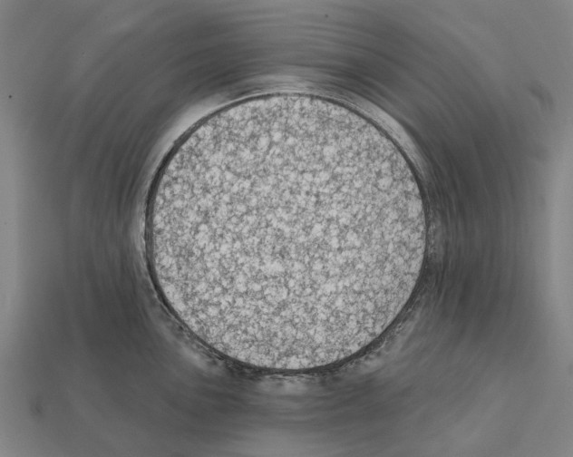 X0000111911051200909071152