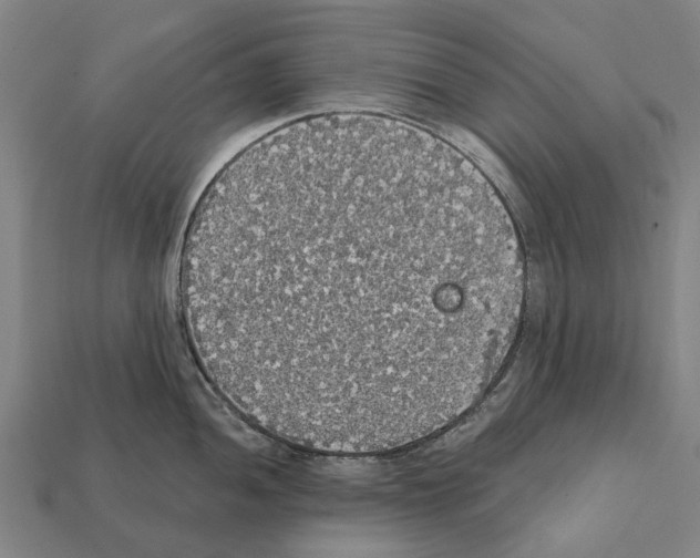 X0000111911052200909071152