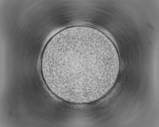 X0000111911053200909071153