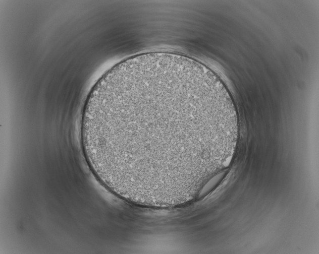X0000111911054200909071153