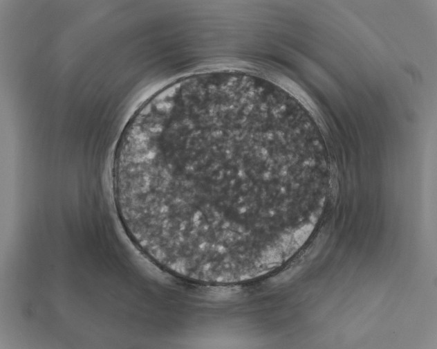 X0000111911055200909071153