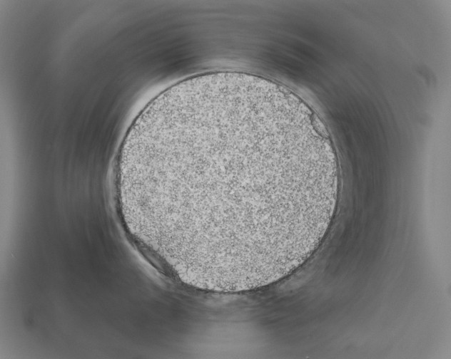 X0000111911056200909071153