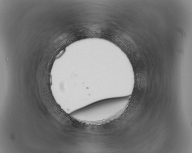 X0000111911057200909071152