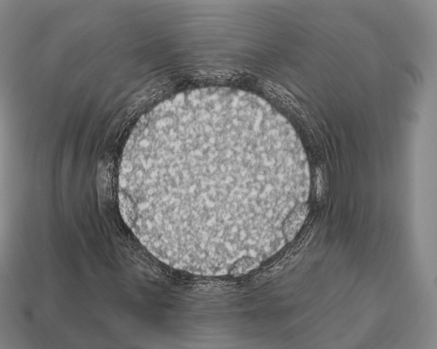 X0000111911059200909071152