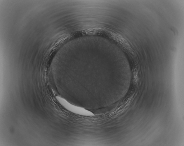 X0000111911060200909071152