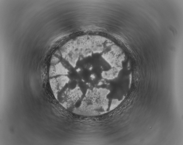 X0000111911063200909071152