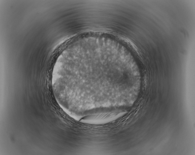 X0000111911064200909071152
