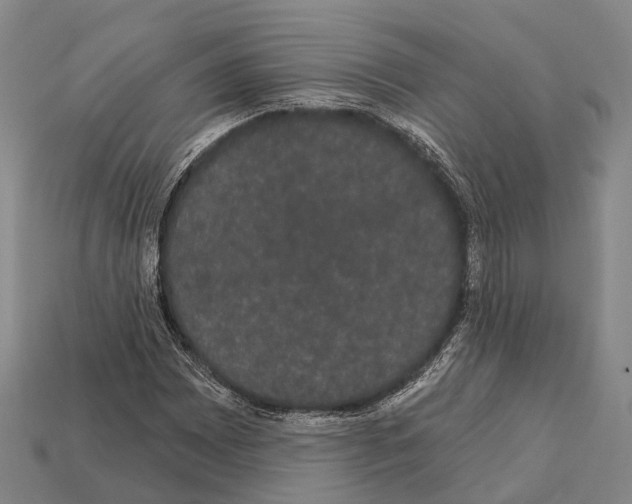 X0000111911065200909071152