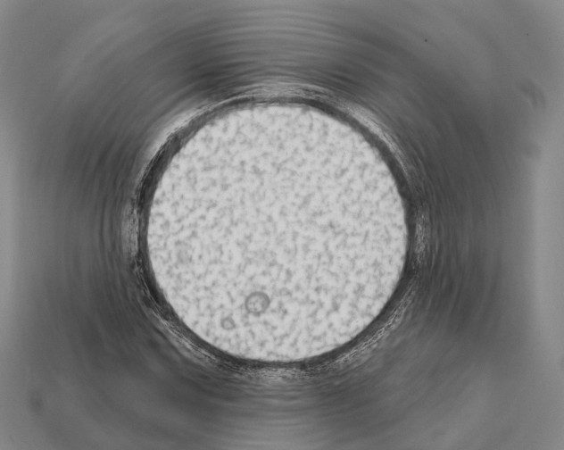 X0000111911067200909071152