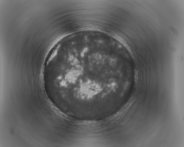X0000111911068200909071152