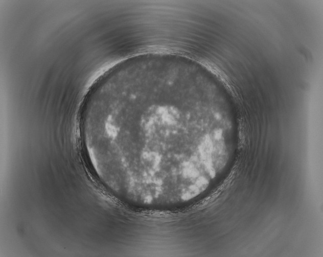 X0000111911070200909071152