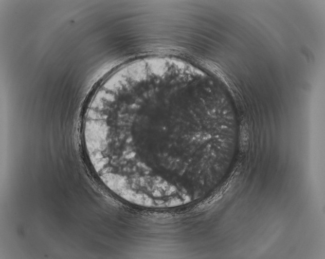 X0000111911071200909071152