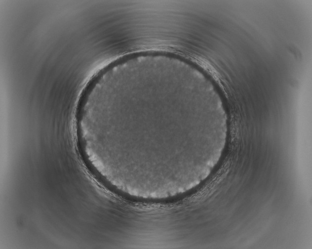 X0000111911072200909071152