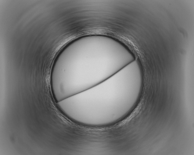 X0000111911073200909071152