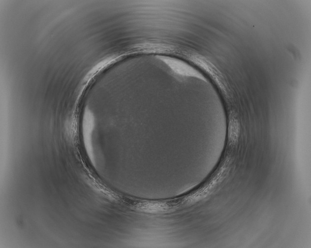 X0000111911074200909071152