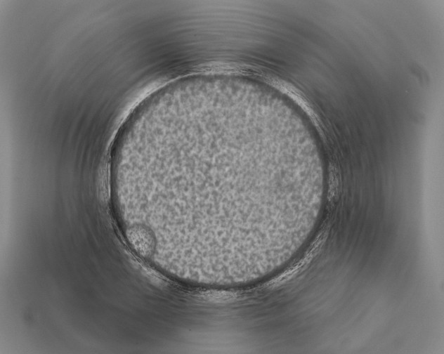 X0000111911075200909071152